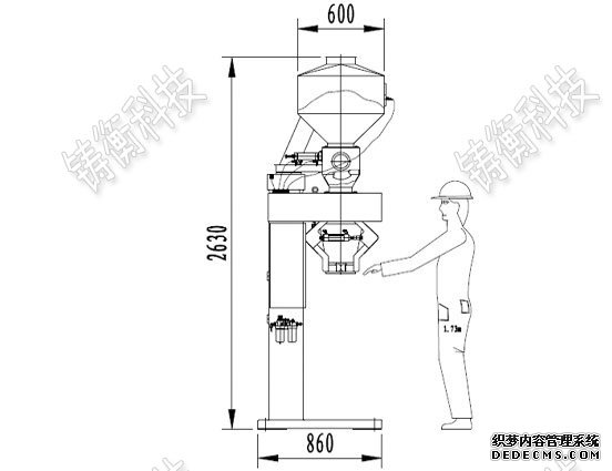 定量丝瓜免费黄色视频
